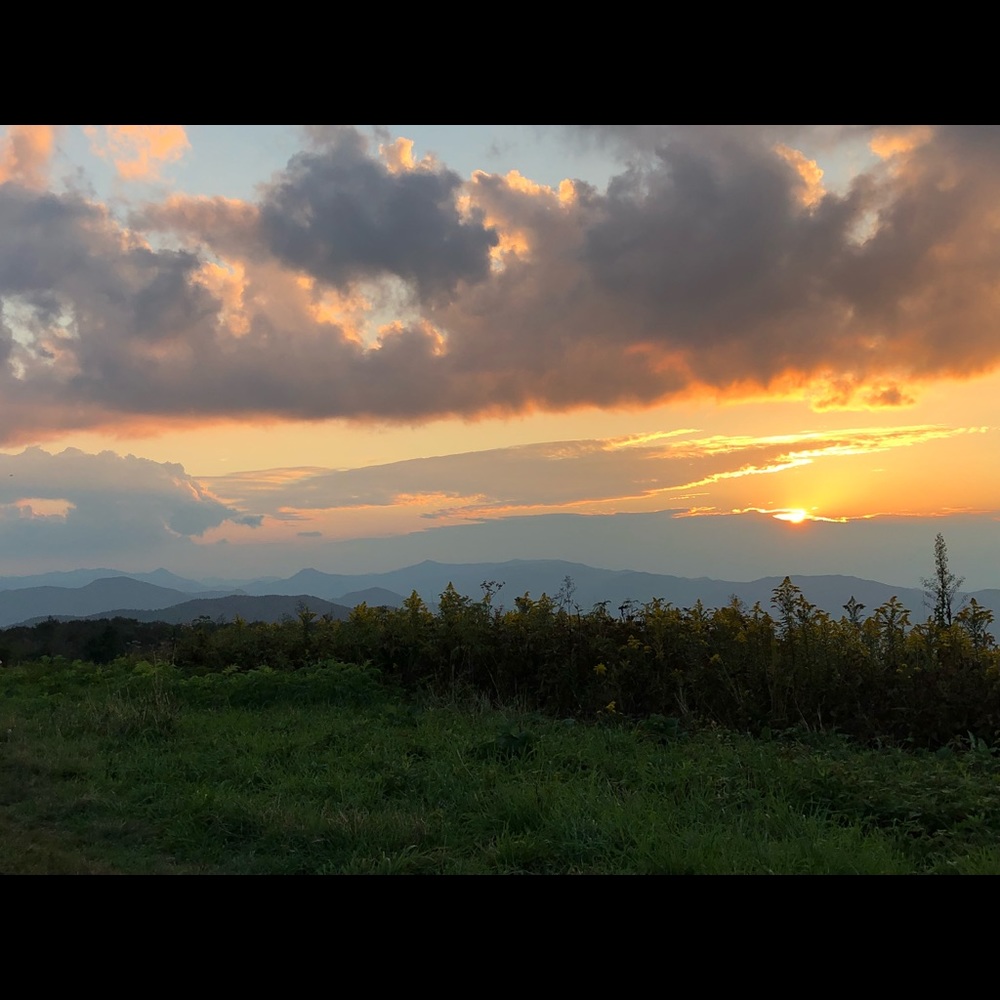 Meet your Posher, Jaime